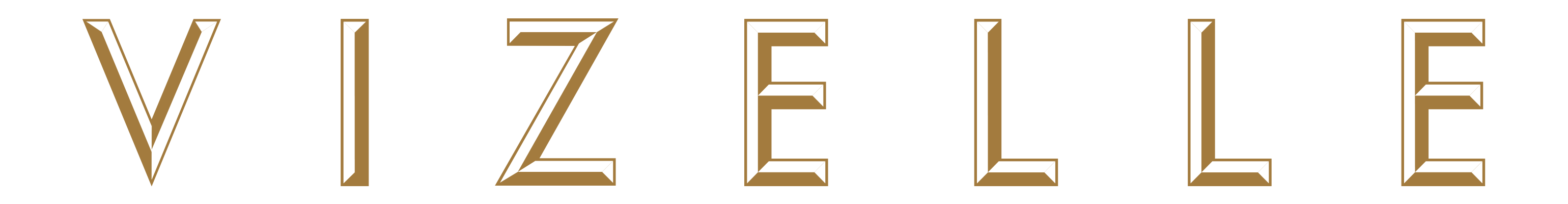 Vizelle Logo